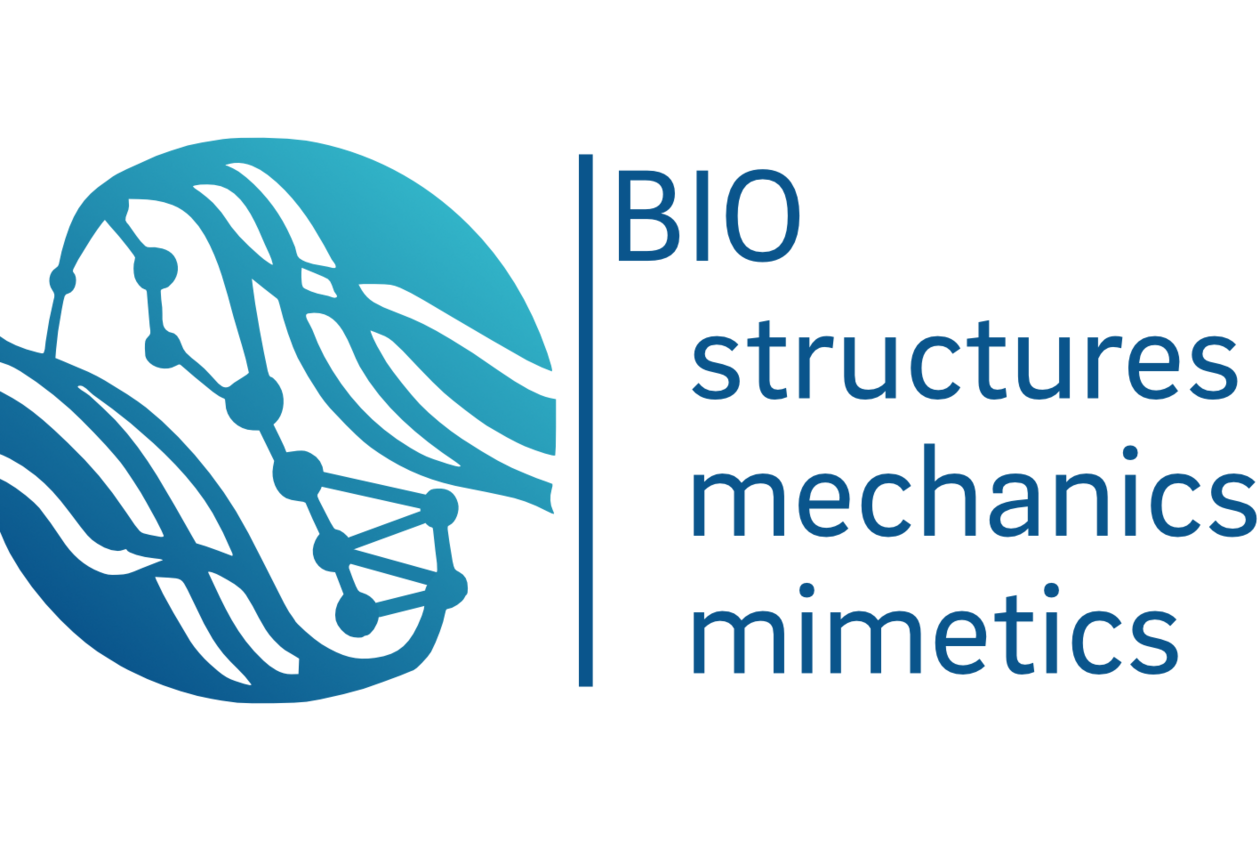 Logo Workgroup Biological Structures and Biomimetics Logo Workgroup Biological Structures and Biomimetics