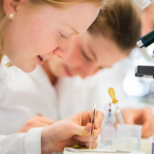 RS7157_0-140-scr Studierende bei Laborarbeiten.