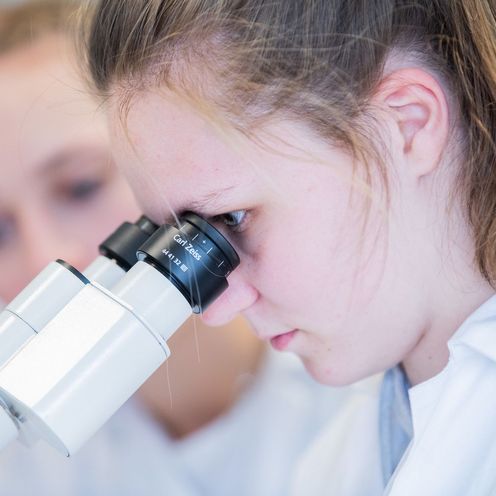 Laborübung in der Bionik Eine Studentin in Laborkittel blickt in ein Mikroskop.
