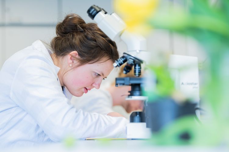 Bionik-Seminar Eine Studentin im Laborkittel beugt sich über ihren Arbeitsplatz neben einem Mikroskop.