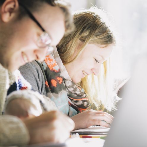 Studierende lernen am Laptop Zwei Studierende lernen am Laptop