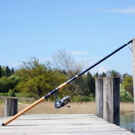 fishing-rod-326843 Auf einem Holzsteg an einem See lehnt eine Angelrute mit Kork-Griff an einem Holzpfahl in der Sonne. Im Hintergrund ist gelbes Schilfgras, grüne Büsche und Bäume und blauer Himmel mit kleinen weißen Wölkchen zu sehen.