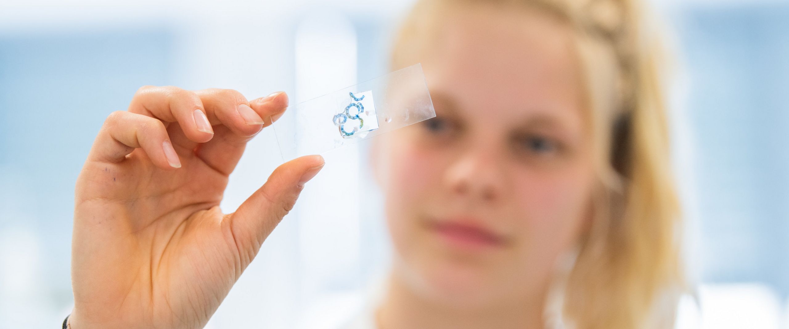 Bionik im Labor Eine Studentin hält einen Objektträger für ein Mikroskop hoch und betrachtet die Probe, die sich darauf befindet.