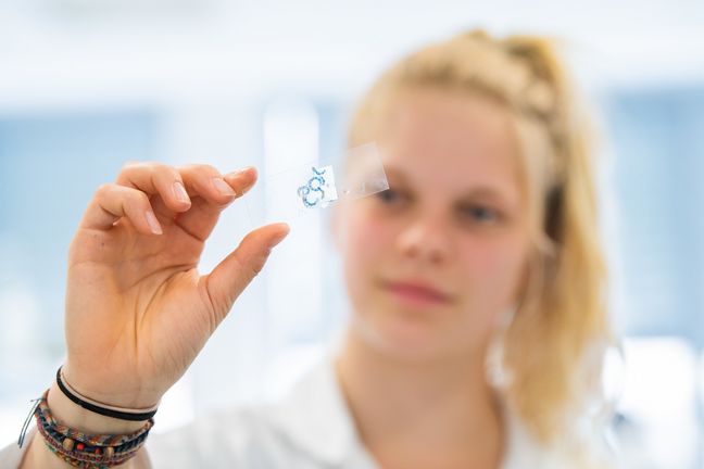 Bionik im Labor Eine Studentin hält einen Objektträger für ein Mikroskop hoch und betrachtet die Probe, die sich darauf befindet.