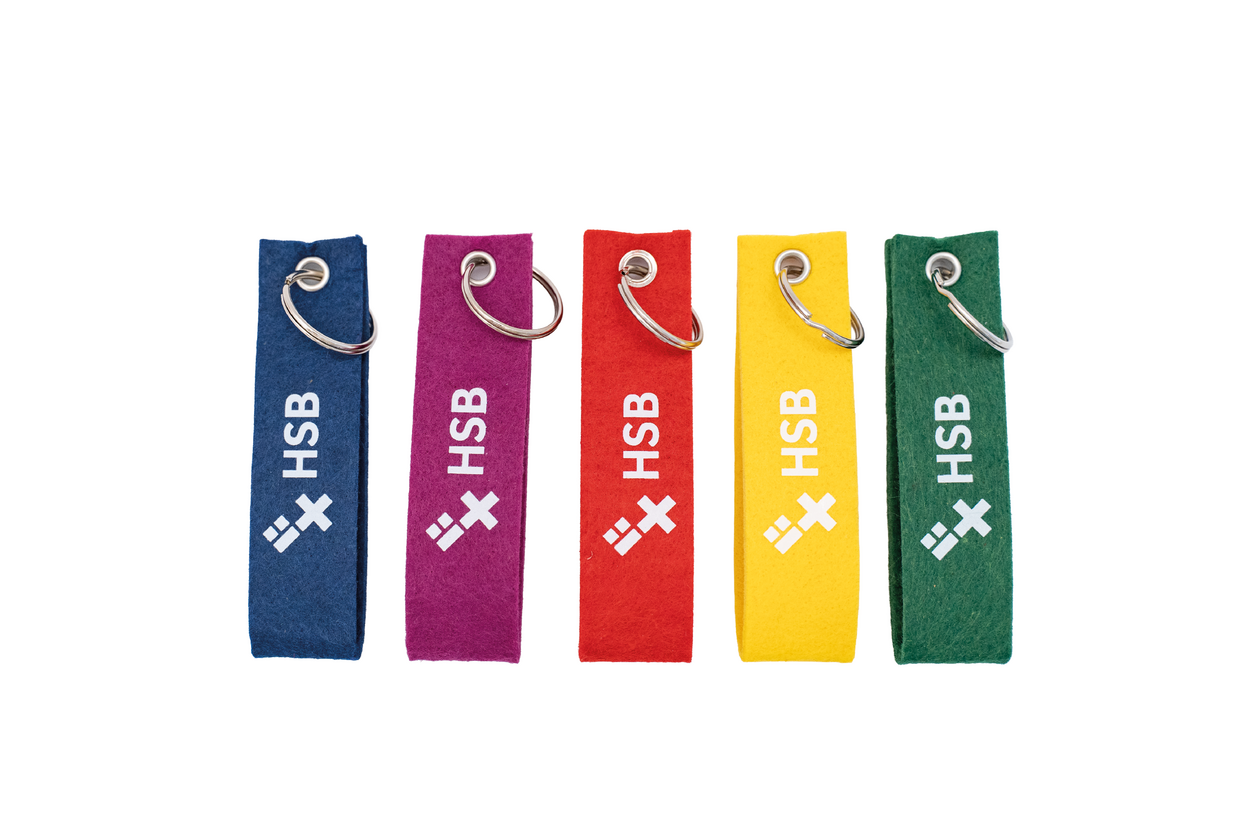 Filz-Schlüsselanhänger Auf dem Bild sind Schlüsselanhänger aus Filz zusehen. Sie sind rechteckig und haben das HSB Logo aufgedruckt. Es sind fünf Schlüsselanhänger in den Farben blau, lila, rot, gelb und grün.