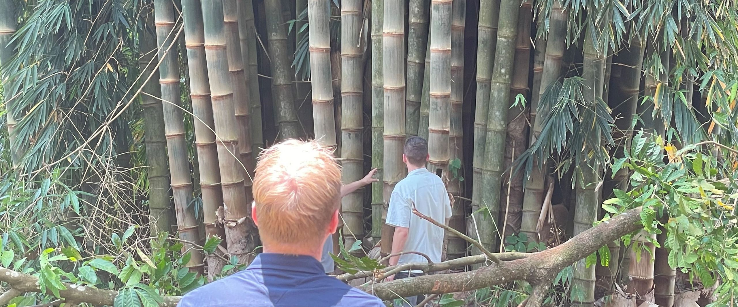 Zwei Männer stehen vor Bambuspflanzen