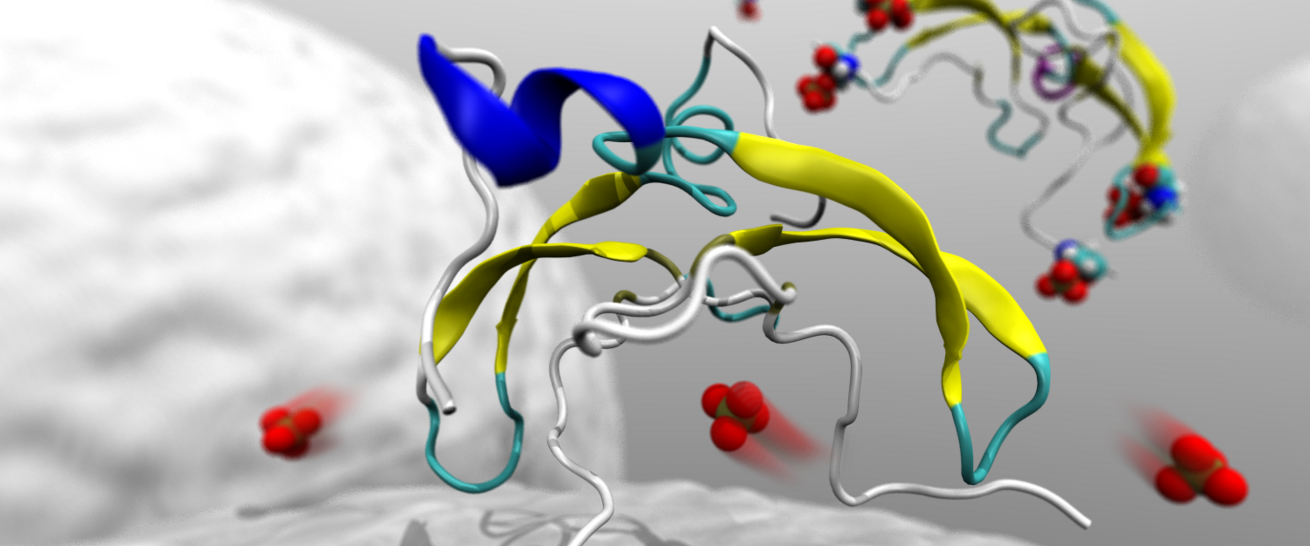 Molucar Level Molucar Level