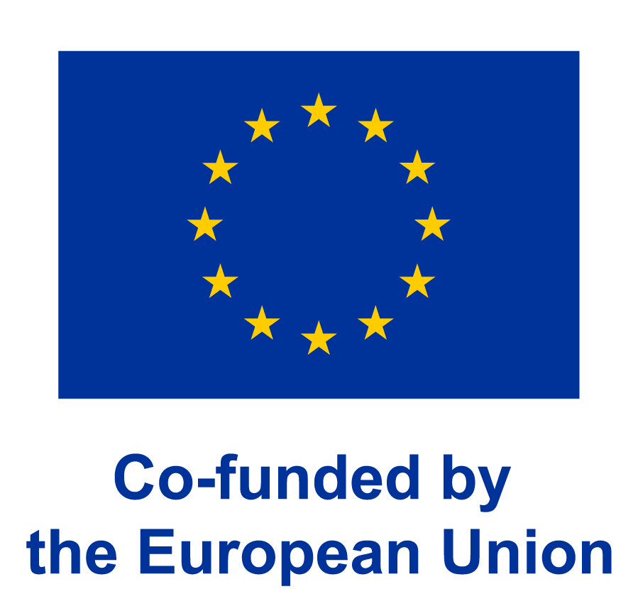 co funded by the EU European flag, co-funded by the European Union