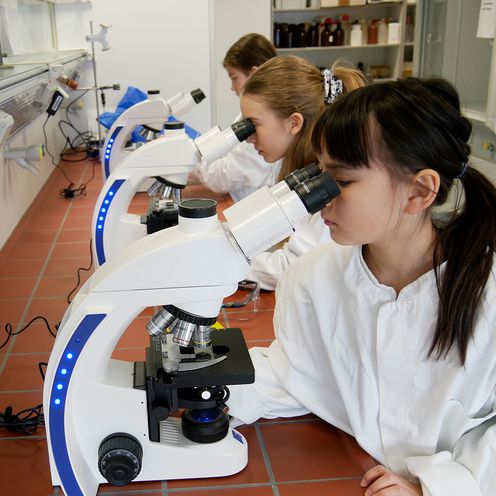 Zukunftstag HSB Drei Mädchen sitzen an einem Tisch in einem Labor und bauen etwas mit kleinen Rädern.