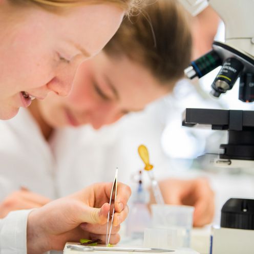 RS7157_0-140-scr Studierende bei Laborarbeiten.