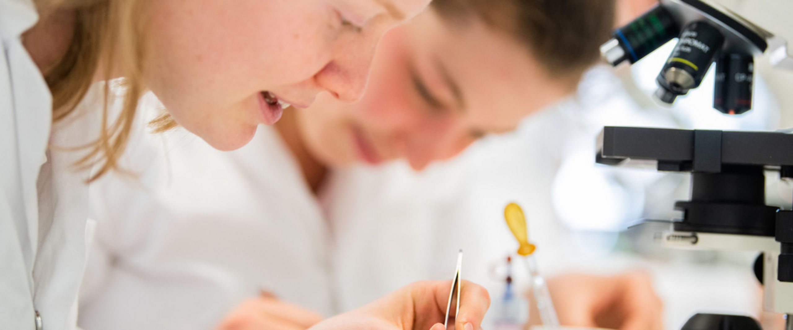 RS7157_0-140-scr Studierende bei Laborarbeiten.